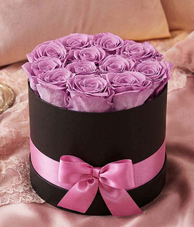 One dozen light purple preserved roses arranged into a black hat box with a purple ribbon.