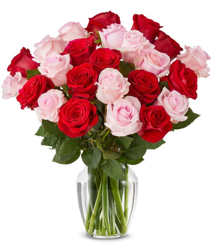 Two dozen rose mix with pink and red roses