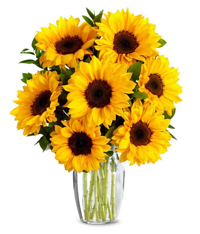A vibrant arrangement featuring yellow sunflowers and golden solidago, optionally presented in a vase. This bright and cheerful display brings a touch of sunshine and warmth to any occasion. 