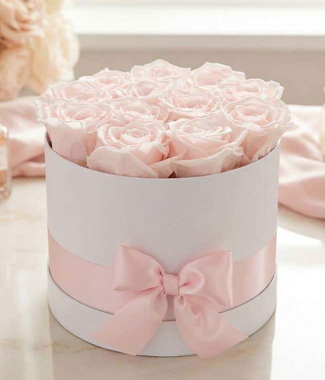 Luxury Champagne Pink Forever Roses