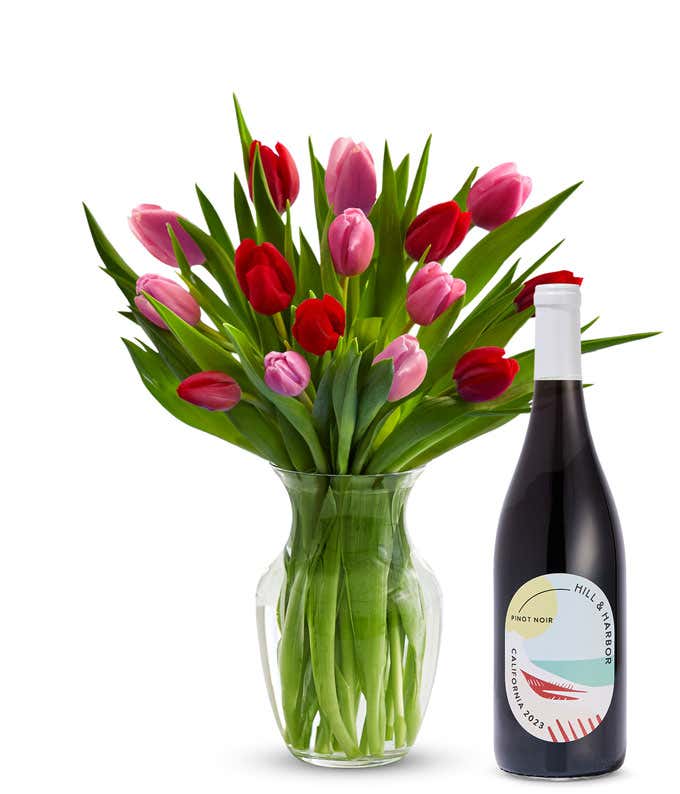 A clear glass vase filled with 15 stems of mixed red and pink tulips and bright green stems sits beside a bottle of Hill & Harbor California Pinot Noir.