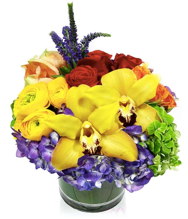 Rainbow Pride Signature