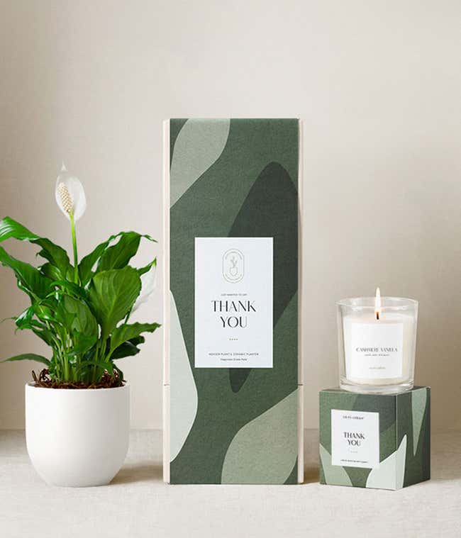 Thank you gift set featuring a peace lily plant in a dark gray ceramic planter, a citrus blossom scented candle, and a green patterned gift box labeled Thank You.