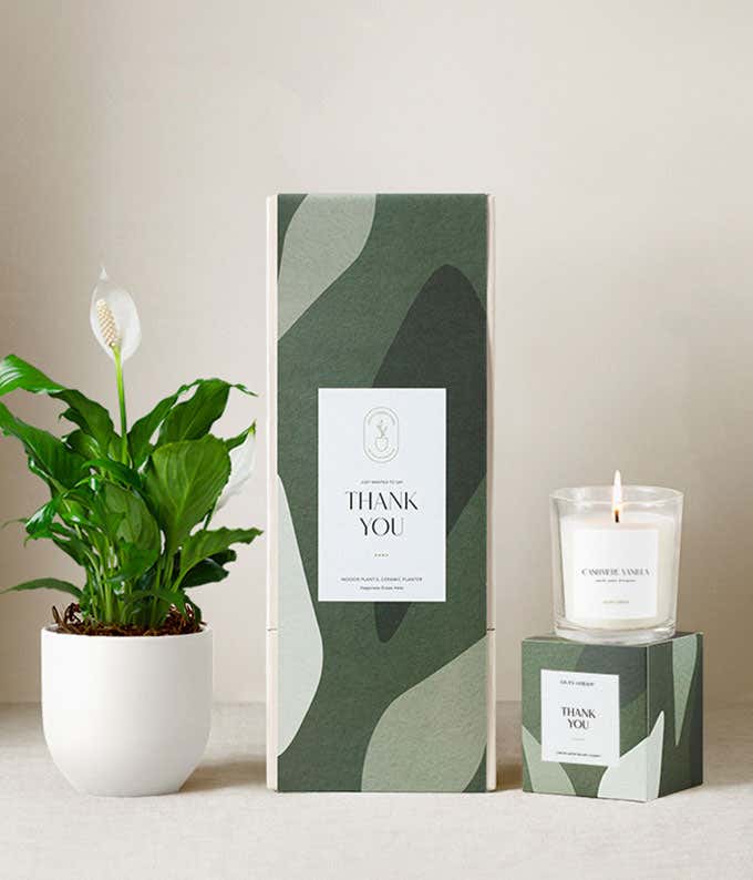 Thank you gift set featuring a peace lily plant in a dark gray ceramic planter, a citrus blossom scented candle, and a green patterned gift box labeled Thank You.
