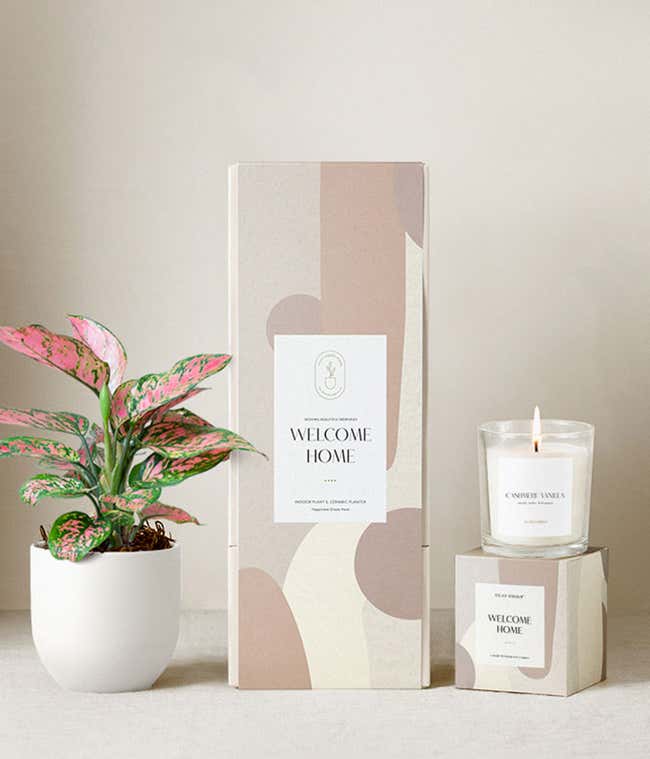 Housewarming gift set featuring a pink and green aglaonema plant in a dark gray ceramic planter, a citrus blossom scented candle, and a beige and blush abstract-patterned gift box labeled Welcome Home