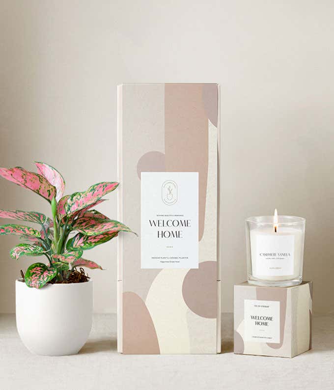 Housewarming gift set featuring a pink and green aglaonema plant in a dark gray ceramic planter, a citrus blossom scented candle, and a beige and blush abstract-patterned gift box labeled Welcome Home