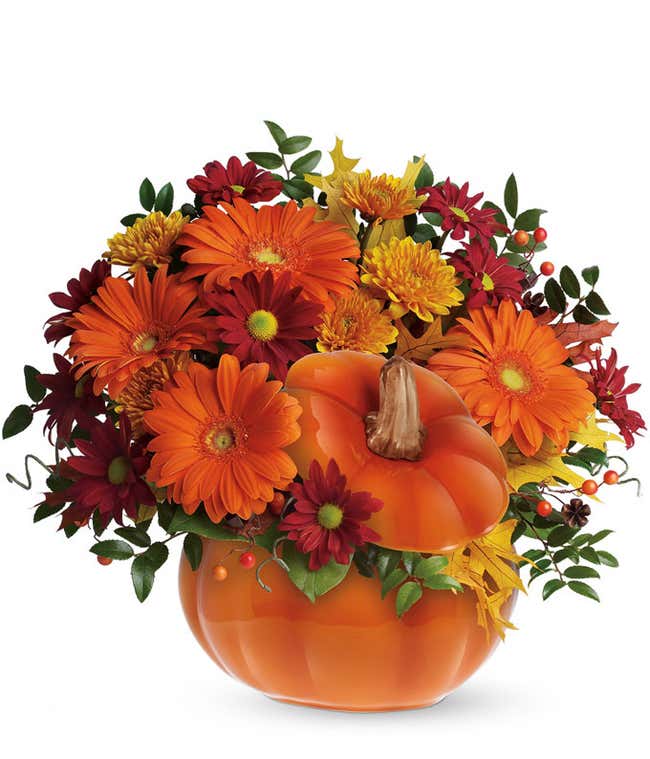 Pumpkin-shaped container filled with orange gerberas, gold cushion spray chrysanthemums, red daisy spray chrysanthemums, and seasonal greenery, with miniature orange gerberas included in the premium size.