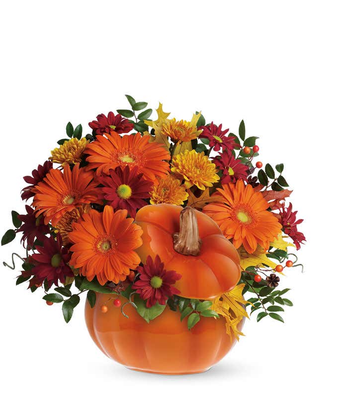 Pumpkin-shaped container filled with orange gerberas, gold cushion spray chrysanthemums, red daisy spray chrysanthemums, and seasonal greenery, with miniature orange gerberas included in the premium size.