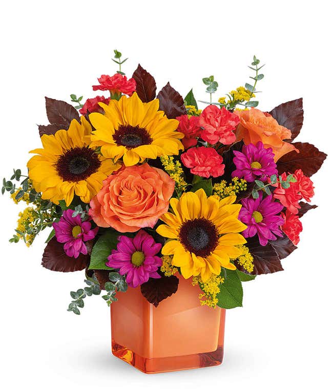 Bright floral arrangement with sunflowers, orange roses, orange carnations, magenta daisy poms, yellow solidago, eucalyptus, and burgundy leaves in an orange cube vase.