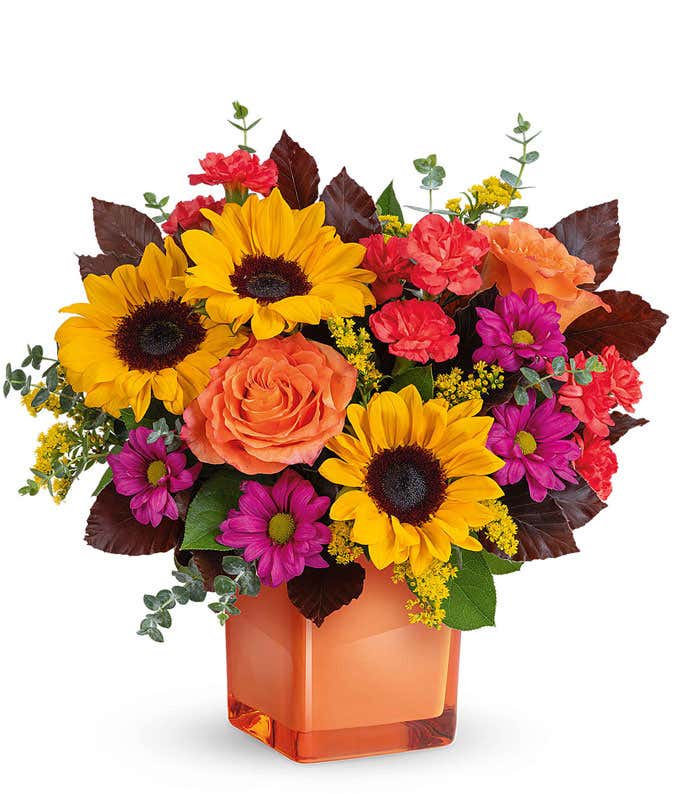 Bright floral arrangement with sunflowers, orange roses, orange carnations, magenta daisy poms, yellow solidago, eucalyptus, and burgundy leaves in an orange cube vase.