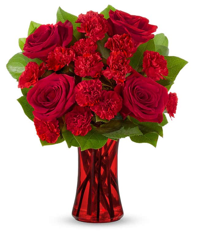 A striking arrangement featuring red roses, red mini carnations, and salal, elegantly presented in a red gathering vase.