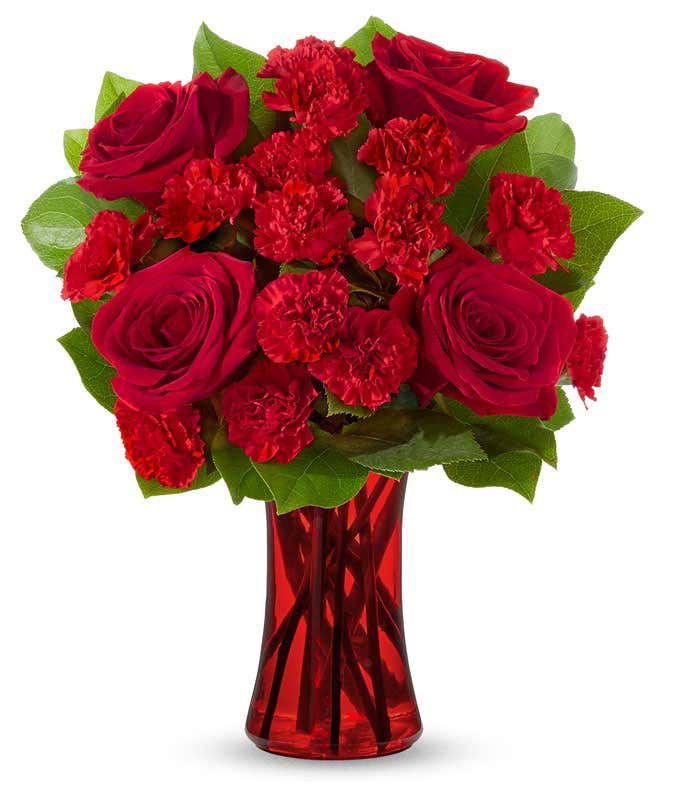A striking arrangement featuring red roses, red mini carnations, and salal, elegantly presented in a red gathering vase.