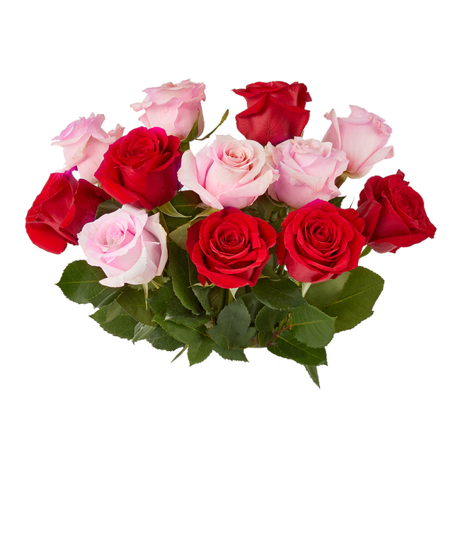 Partial image of Bouquet of half red roses and half pink roses without vase.