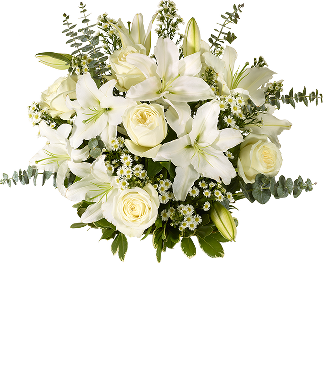 Partial image of An elegant floral arrangement featuring white roses, white lilies, white asters, and eucalyptus, optionally displayed in a glass vase. without vase.