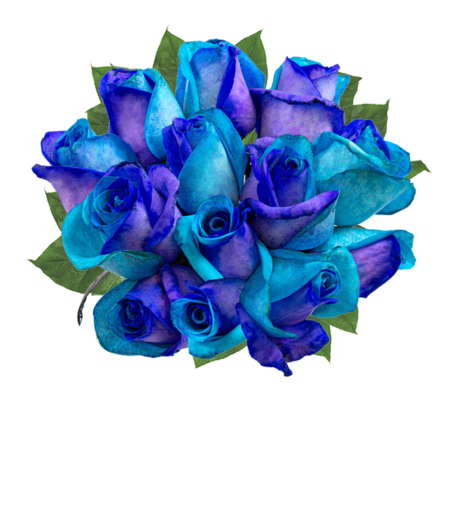 Partial image of One Dozen Ocean Blue Roses without vase.